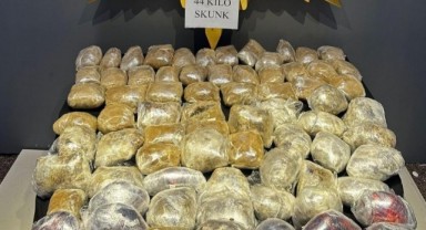 Malatya'da kilolarca skunk ele geçirildi