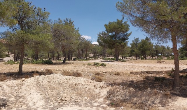 Mersin’de cinayet: 2 ölü