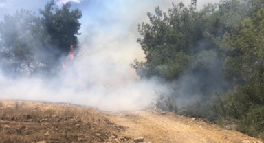 Orman yangını kontrol altına alındı