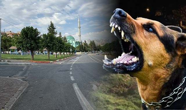 Şanlıurfa'da 2 mahalle karantinaya alındı