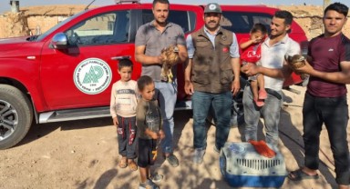 Şanlıurfa'da sıcak hava kızıl şahinleri yordu