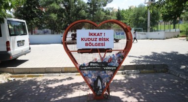 Şanlıurfa merkezde iki mahallede kuduz karantinası devam ediyor