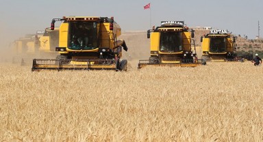 TMO, 2024 arpa ve buğday alım fiyatını duyurdu! İşte detaylar