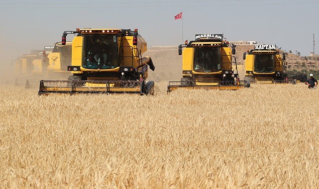 TMO, 2024 arpa ve buğday alım fiyatını duyurdu! İşte detaylar