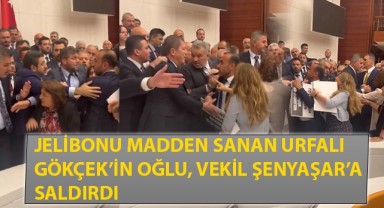 Urfalı başkanın oğlu, vekil Şenyaşar'a tekme attı! O anlar kamerada