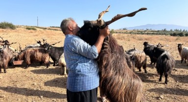 Urfalı kurban satıcısı Hatay'da dikkatleri üzerine çekti