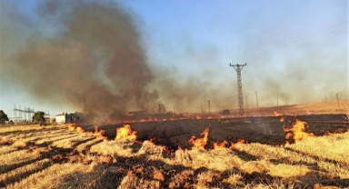 Anız yangınları Urfa'da 16 mahalleyi elektriksiz bıraktı