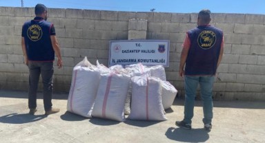 Babasının tarlasından fıstık çalan şüpheli yakalandı