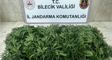 Bilecik'te uyuşturucu operasyonu: 2 şüpheli tutuklandı