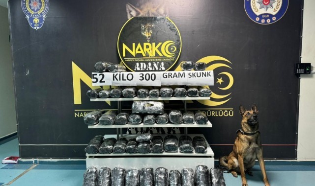 Dedektör köpeği 52 kilo 300 gram skunk buldu