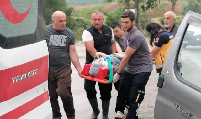 Elektrik direğine çarpan sürücü yaralandı