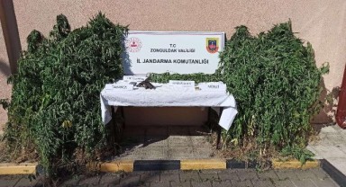 Jandarmanın eş zamanlı uyuşturucu operasyonu: 3 tutuklama