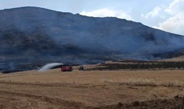 Komşu ilde anız yangını ormanlık alana zarar verdi