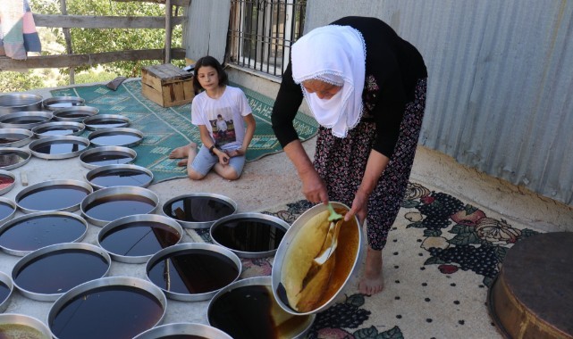 Dut pekmezi mesaisi başladı