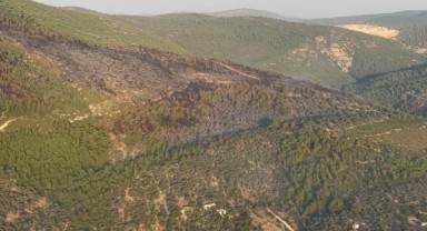 Orman yangını 18 saat sonra kontrol altına alındı