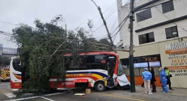 Peru’da kontrolden çıkan otobüs yaya geçidine daldı: 1 ölü, 31 yaralı
