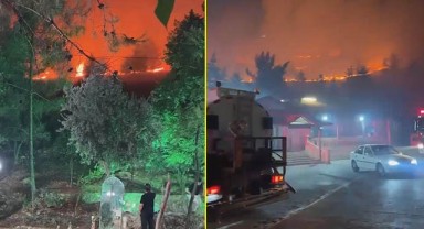 Şanlıurfa'da ağaçlık alanda korkutan yangın! Gökyüzü kızıla büründü