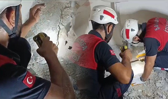 Şanlıurfa'da civciv kurtarma operasyonu