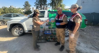 Şanlıurfa'da İzinsiz Saka Kuşu Besleyen Şahsa Ceza