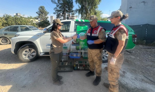 Şanlıurfa'da İzinsiz Saka Kuşu Besleyen Şahsa Ceza