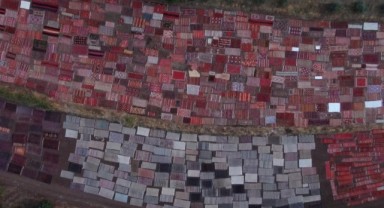 Tarlada milyonluk halı nöbeti: Güneş batınca başlıyor, doğunca bitiriyorlar