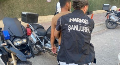 Urfa'da 3 mahallede uyuşturucu denetimi yapıldı
