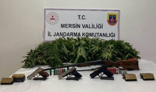 Uyuşturucu yetiştiren şüpheliler yakayı ele verdi