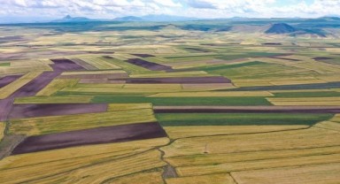 Uzmanlar arsa ve tarla alırken dikkat edilmesi gerekenleri açıkladı