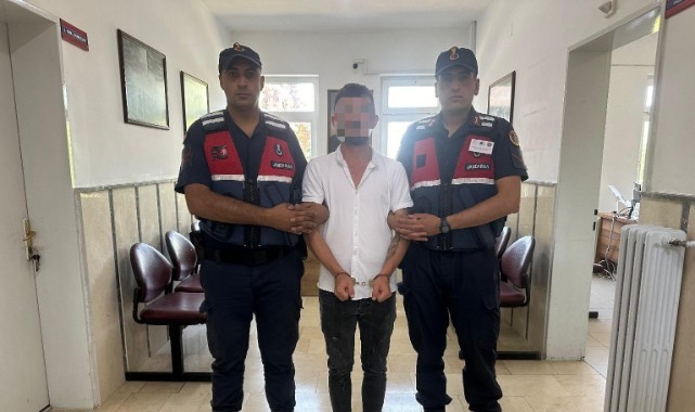 Ahırında uyuşturucu yetiştirdi, jandarmadan kaçamadı
