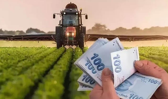 Bakan müjdeyi verdi! Ödemeler hesaplara yattı