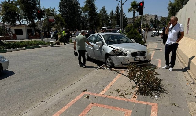 Başıboş at zincirleme kazaya neden oldu: 4 yaralı