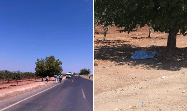 Bozova'da öğretmeni öldüren zanlı tutuklandı