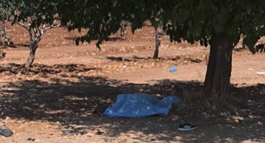Bozova'da tarlada bir şahsın cesedi bulundu