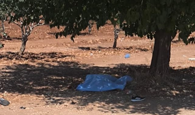 Bozova'da tarlada bir şahsın cesedi bulundu