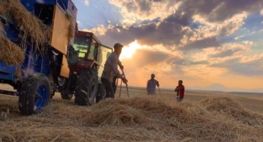 Çiftçiler sıcak havada hasada devam ediyor