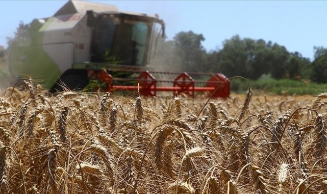Çiftçilere müjde! Ödemeler bugün hesaplara yatıyor…