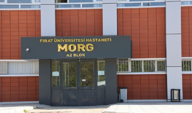 Devrilen traktörün altında kalarak hayatını kaybetti