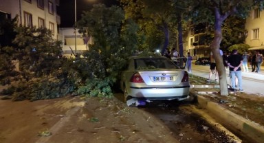 Direksiyon hakimiyetini kaybetti, ağaca çarptı: 4 yaralı
