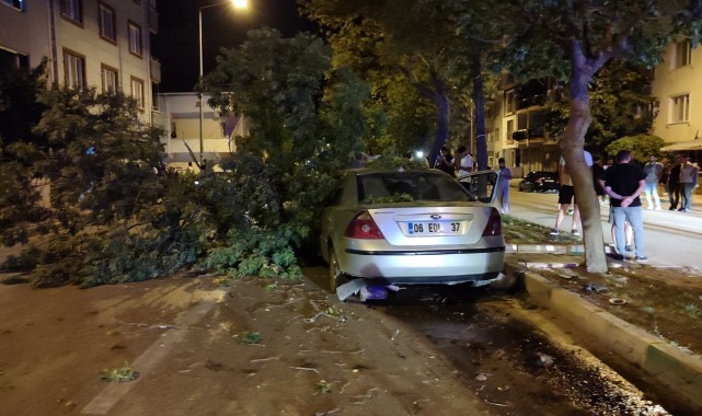 Direksiyon hakimiyetini kaybetti, ağaca çarptı: 4 yaralı