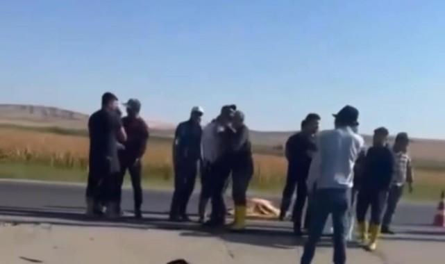 Diyarbakır’da otomobilin çarptığı çoban hayatından oldu!