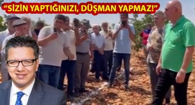 Fıstık bahçeleri TOKİ'ye mi tahsis edildi? Vekil Tanal: Beton rantı için...