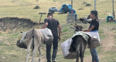İçme suyunu eşek sırtında getiriyorlar! Afrika değil, Türkiye