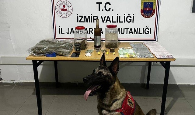 Jandarmadan zehir tacirine şafak operasyonu