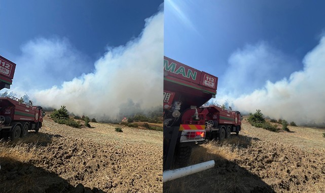 Kahramanmaraş’ta orman yangını