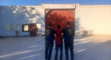 Kesinleşmiş hapis cezası bulunan 2 zanlı tutuklandı