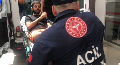 Komşu ilde akrep soktu: Hastanelik oldu