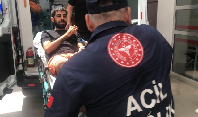 Komşu ilde akrep soktu: Hastanelik oldu