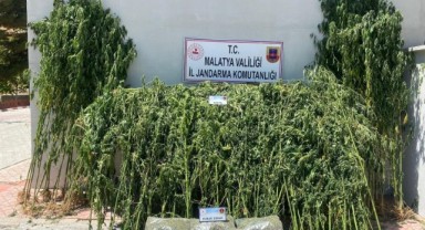 Malatya'da 36 kilo esrar ele geçirildi