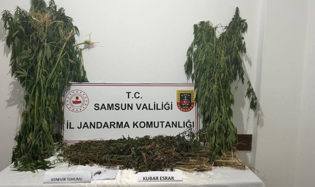 Samsun'da 6 kilo 550 gram kubar esrar ele geçirildi