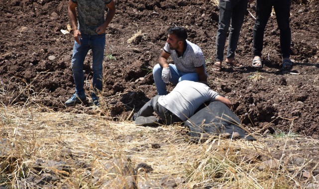 Şanlıurfa'da araç şarampole devrildi! 1 ölü, 3 yaralı